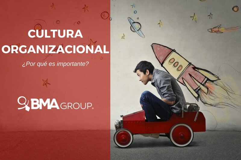 cultura organizacional