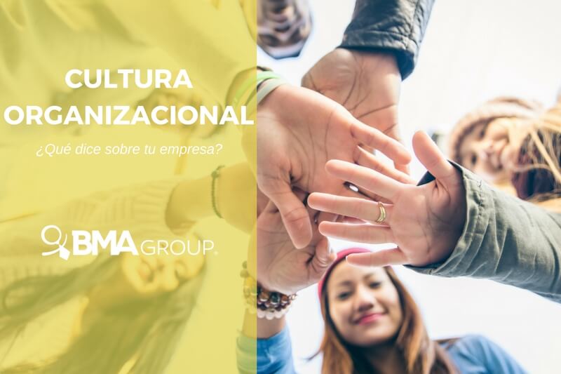 cultura organizacional